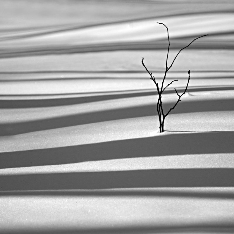 на, белой, полосе Оптимизм в Квадрате.photo preview