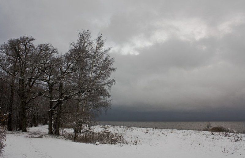 первый, снег photo preview