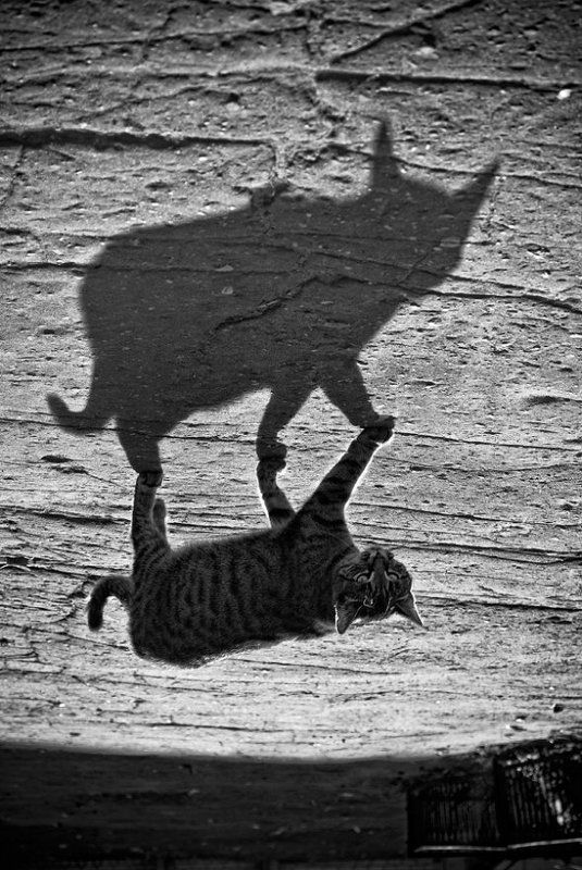 Асфальтphoto preview