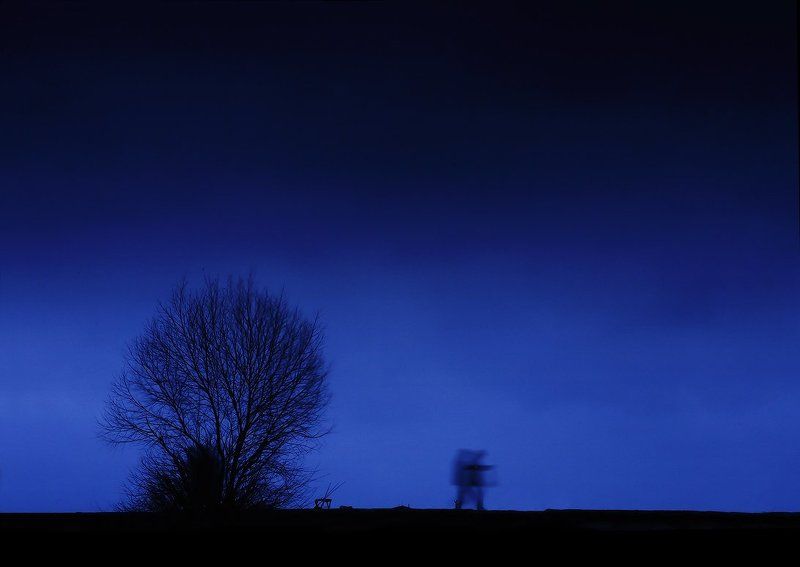 вечерняя мелодияphoto preview