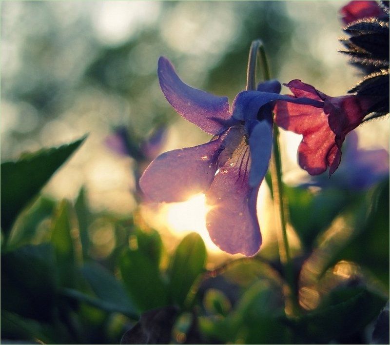 ...поймаю твое тепло..и спрячу ..в сердце..photo preview