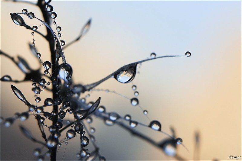 вода, капли ***photo preview