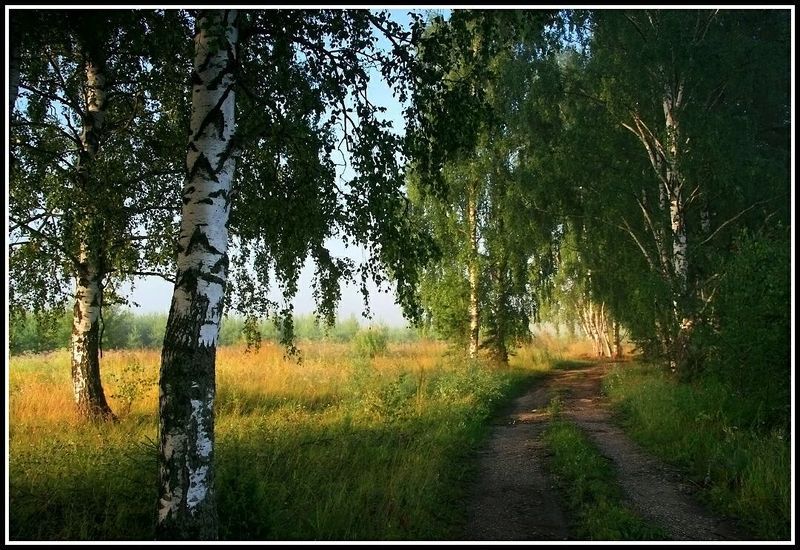 Родные местаphoto preview