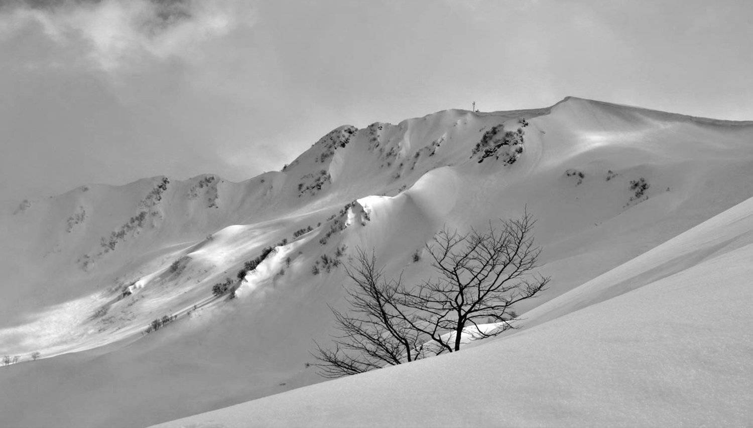 Автор: dimmm , dimmm