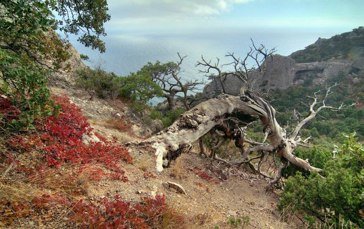 Осень в Крыму. Автор: Алексей горы, море, осень, , облака, Алексей