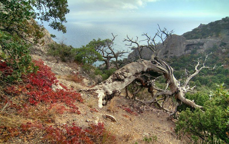 горы, море, осень, , облака Осень в Крымуphoto preview