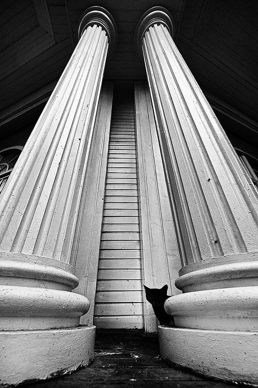 нарушая ритмыphoto preview