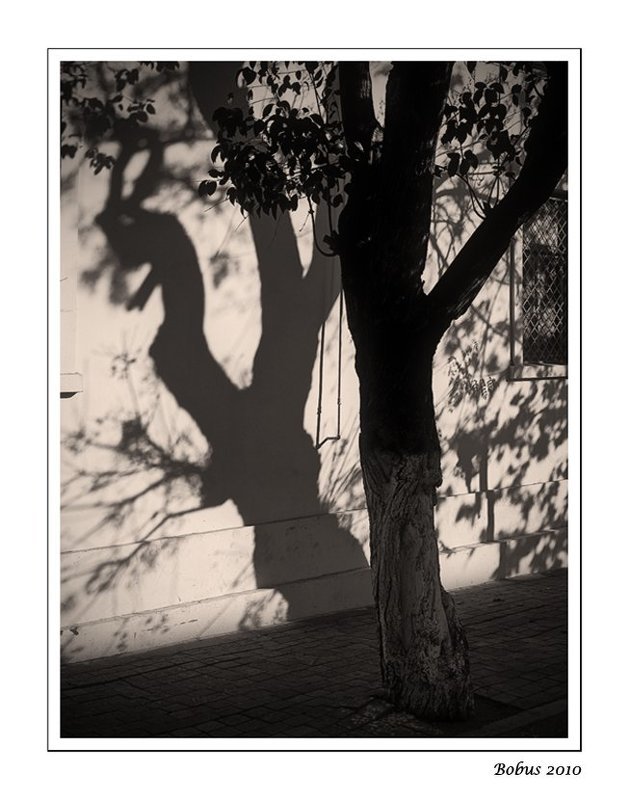 Бакинская осеньphoto preview