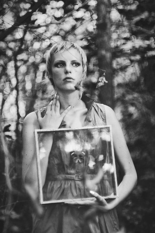 лес , отражение , бабочки , квадрат photo preview