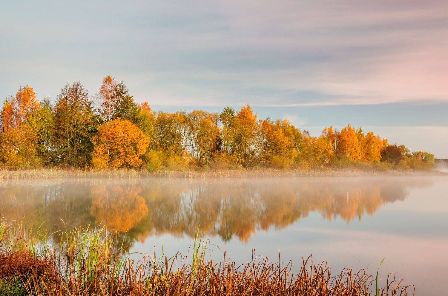 Золотая осень. Автор: Руслан Авдевич , Руслан Авдевич