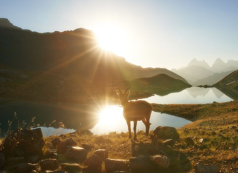 Хозяйка Зеленых озерphoto preview