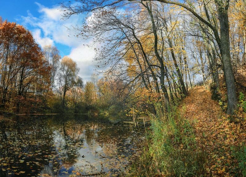 пейзажосеньлистья,пруд Золотая осень.photo preview