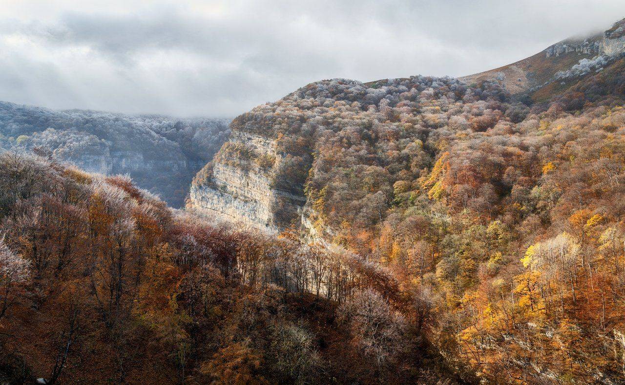 , Шевченко Юрий