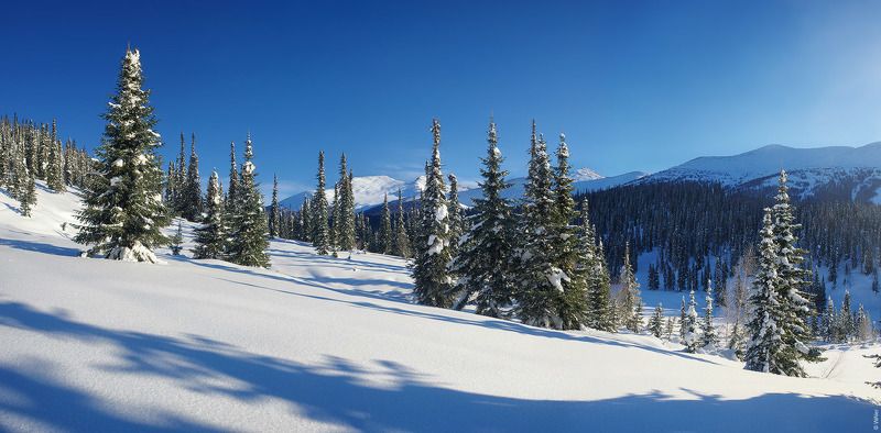 PRO зимний туризм (суровый и прекрасный)photo preview