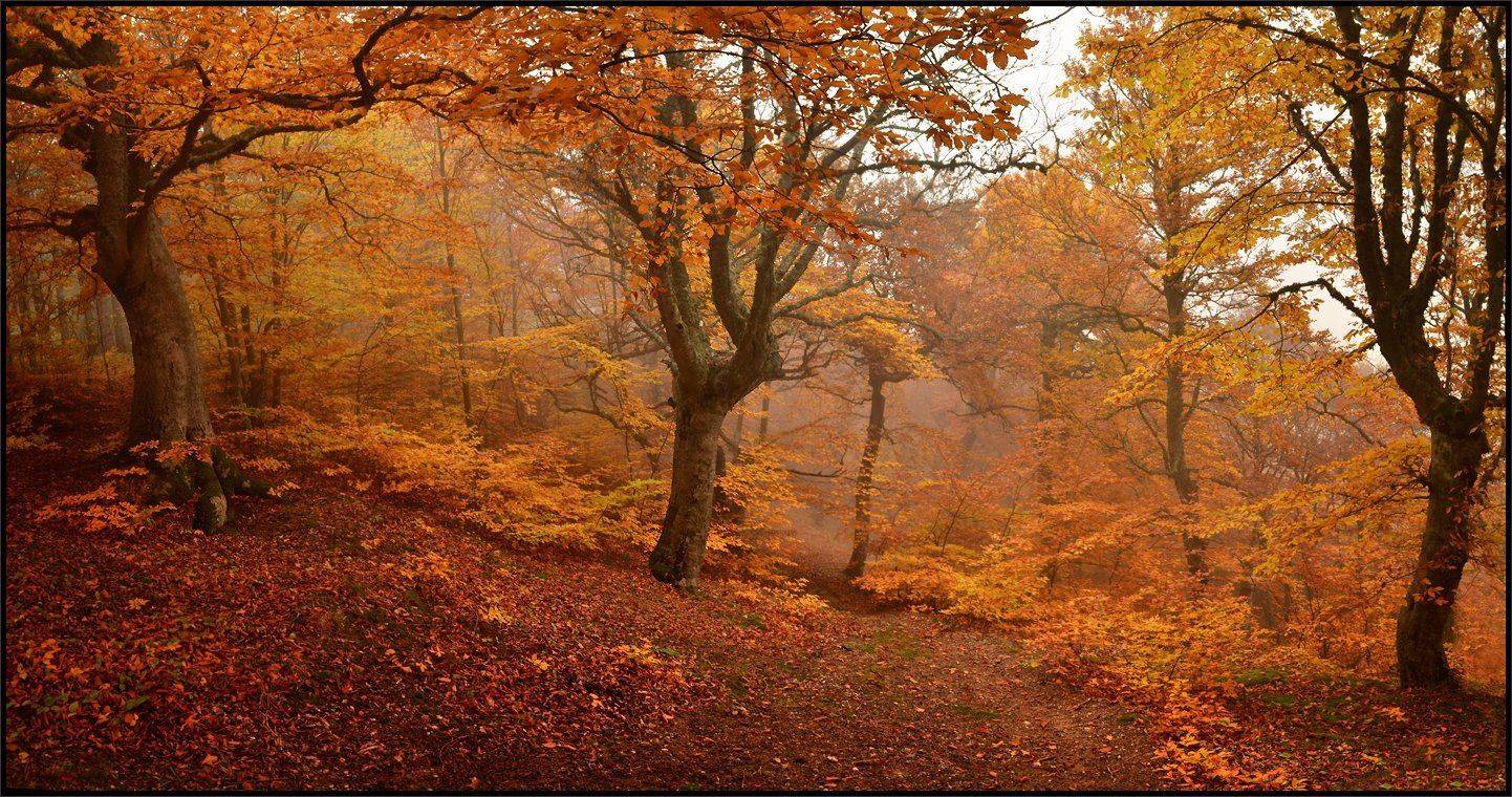 , Владимир Метцгер