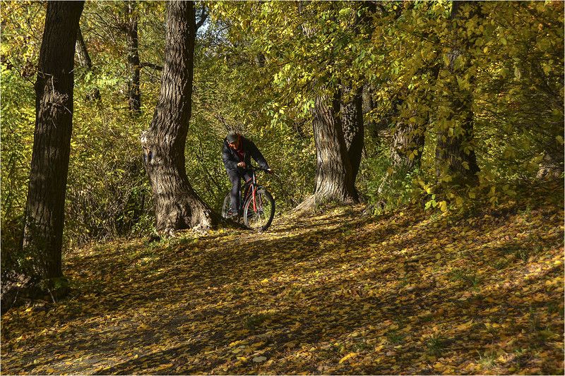осенний лес, тропа, велосипедист, краски осени Что такое осень...photo preview