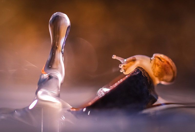 Девятый валphoto preview