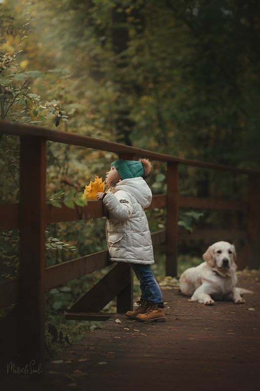 Волшебство вокруг насphoto preview