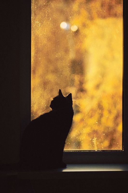 Такое вот время...photo preview