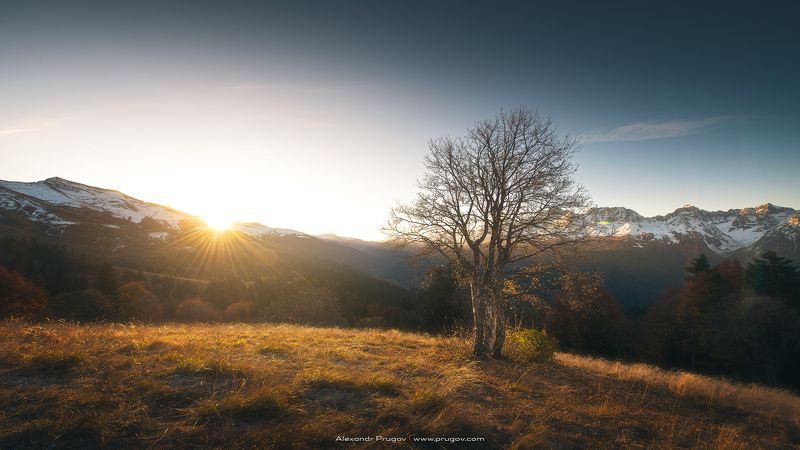 Рассветphoto preview