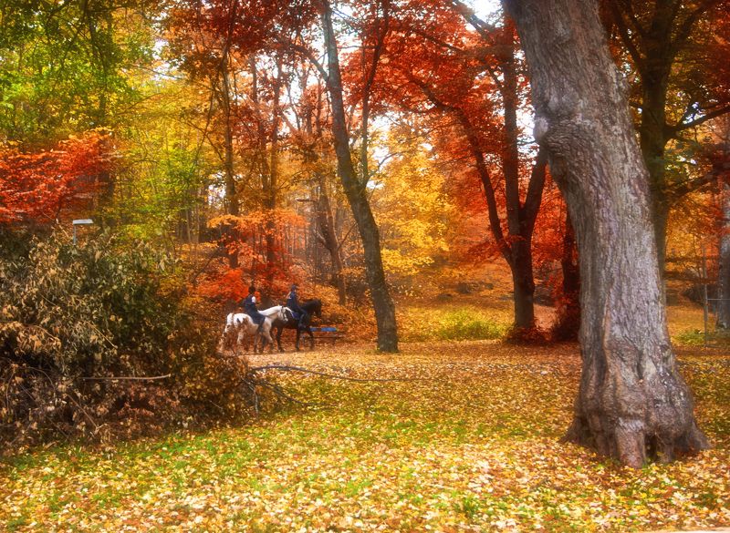 Осенняя пора, Очей очарованьеphoto preview