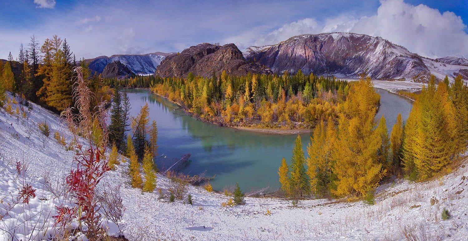 Осенняя Чуя (год спустя). Автор: Валерий Чичкин алтай, река, чуя, горы, вода, осень, снег, желтые, деревья, валерий_чичкин, Валерий Чичкин