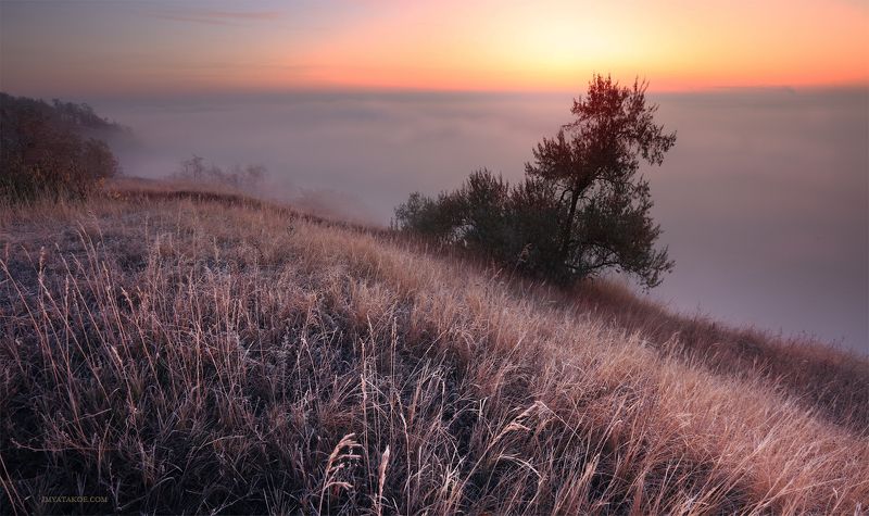 утро, слобожанщина Холодное утроphoto preview