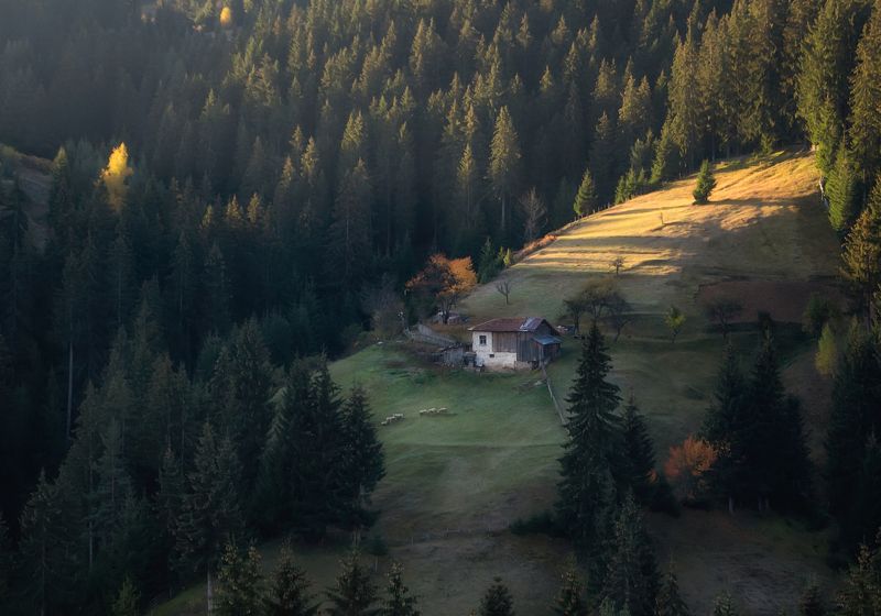 Родопиphoto preview