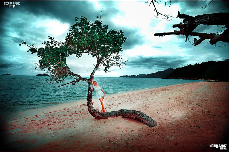 COLOR TASTEphoto preview