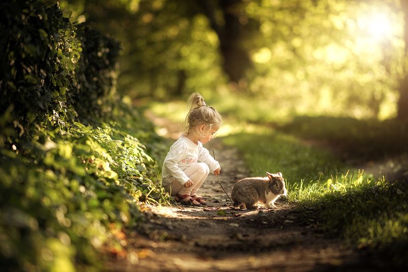 лучшим, другом, best, friend, rabbit, bokeh, path, road, trees, sun, cute, girl, green с лучшим другом..photo preview