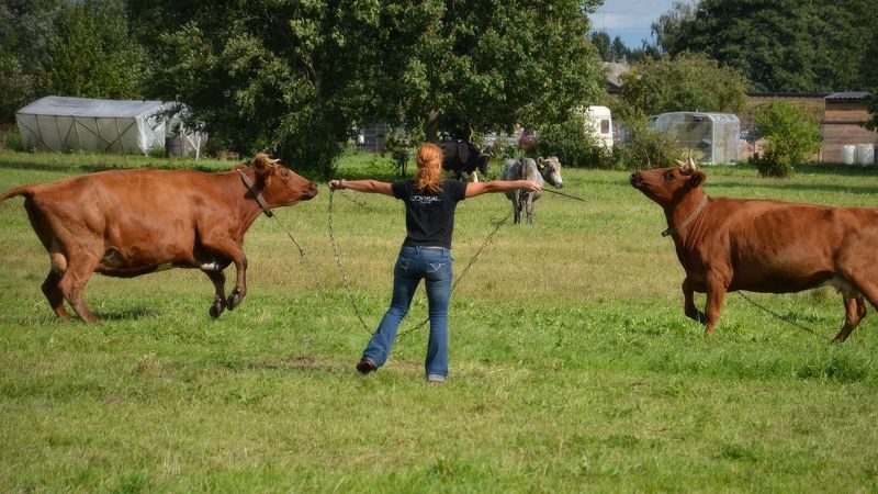 Есть билет на балетphoto preview