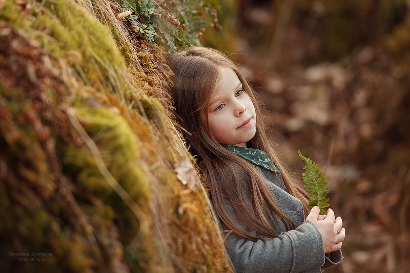 Папоротникphoto preview