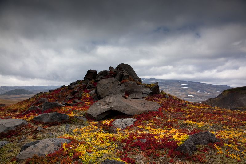 Осенняя пораphoto preview