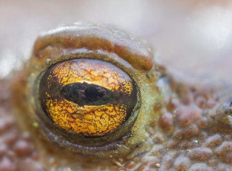 Сэлфи...photo preview