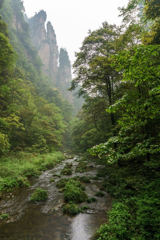 Ручей photo preview