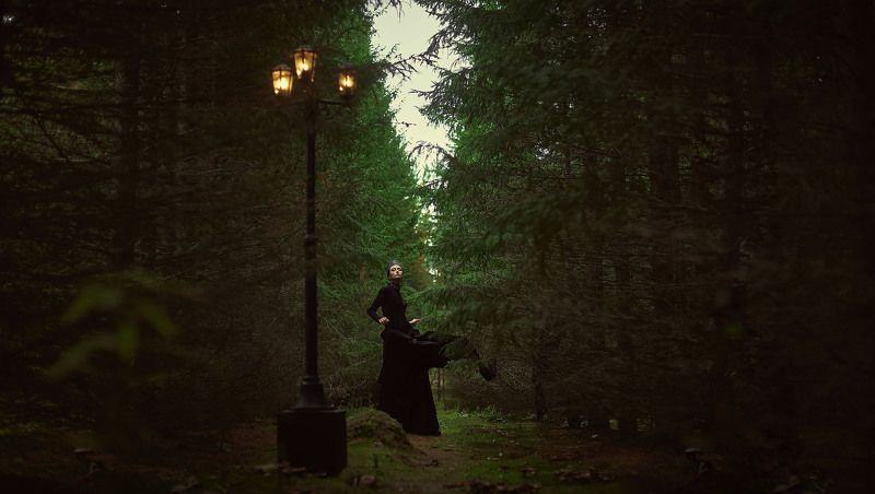 Фонарь в лесуphoto preview