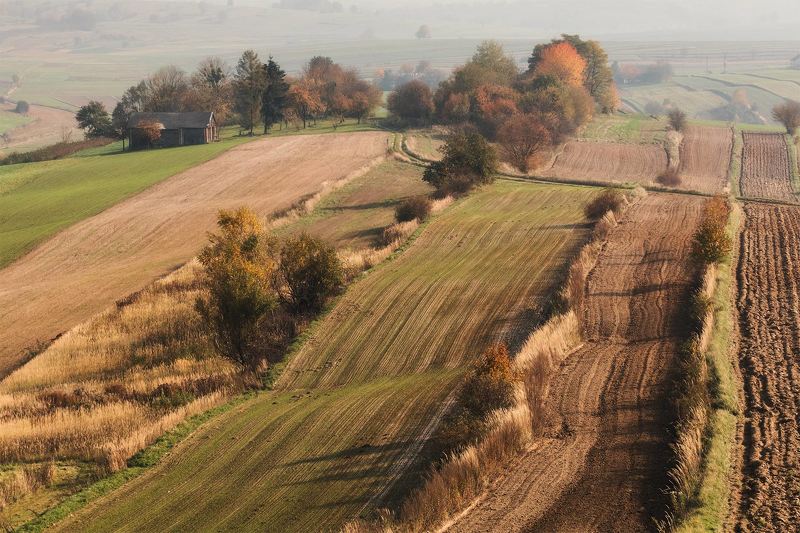 field, haus, field on Roztoczephoto preview