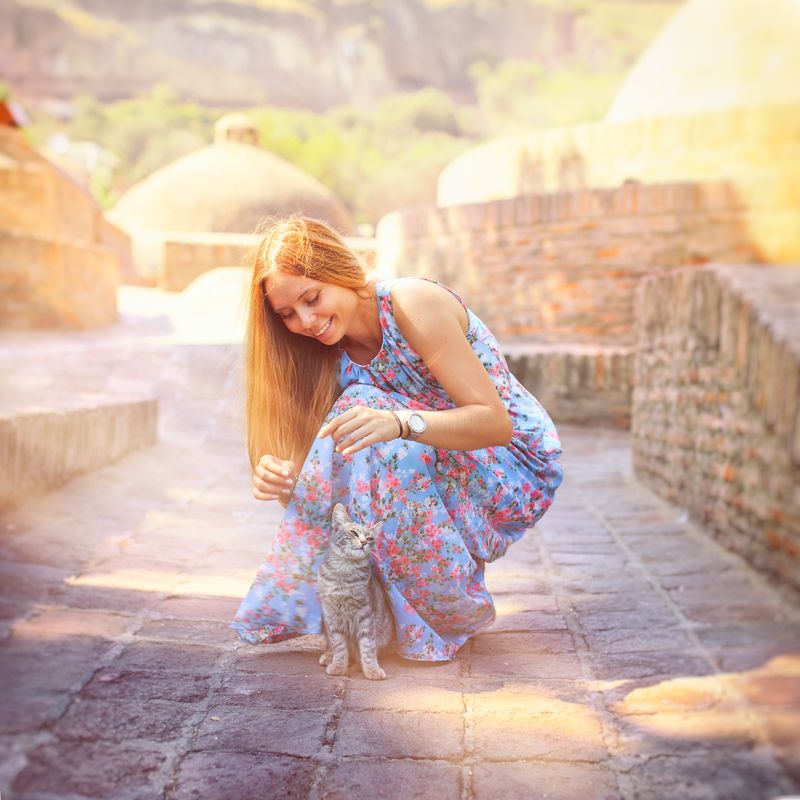 встреча, котенок,  тбилисские серные бани Случайная встреча)photo preview