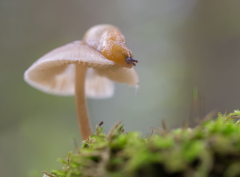 В осеннем лесуphoto preview