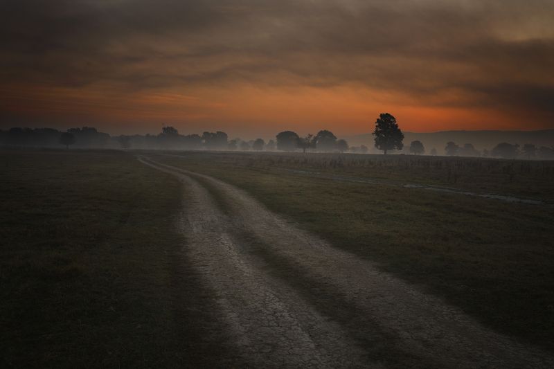 дорога, туман, утро, красное, восход,  Дорога по утрам.photo preview