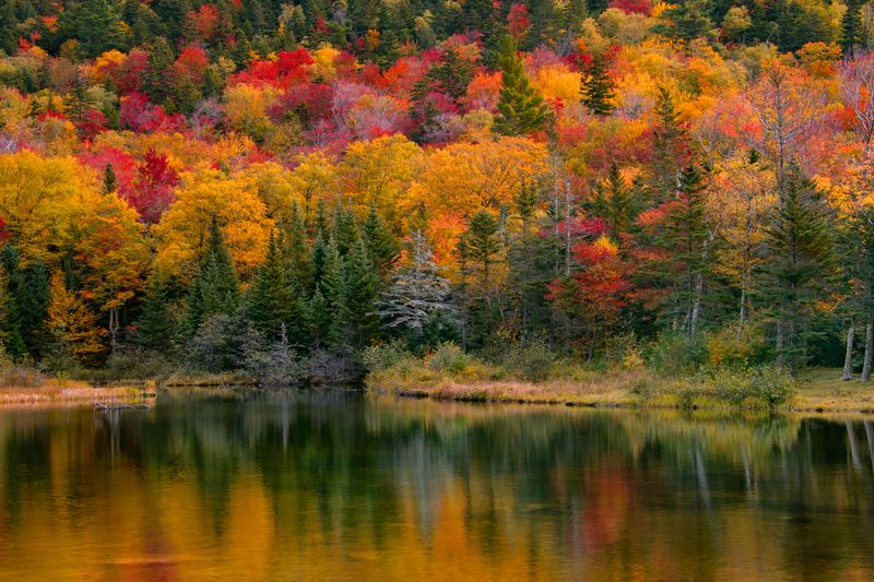 New England Pondphoto preview