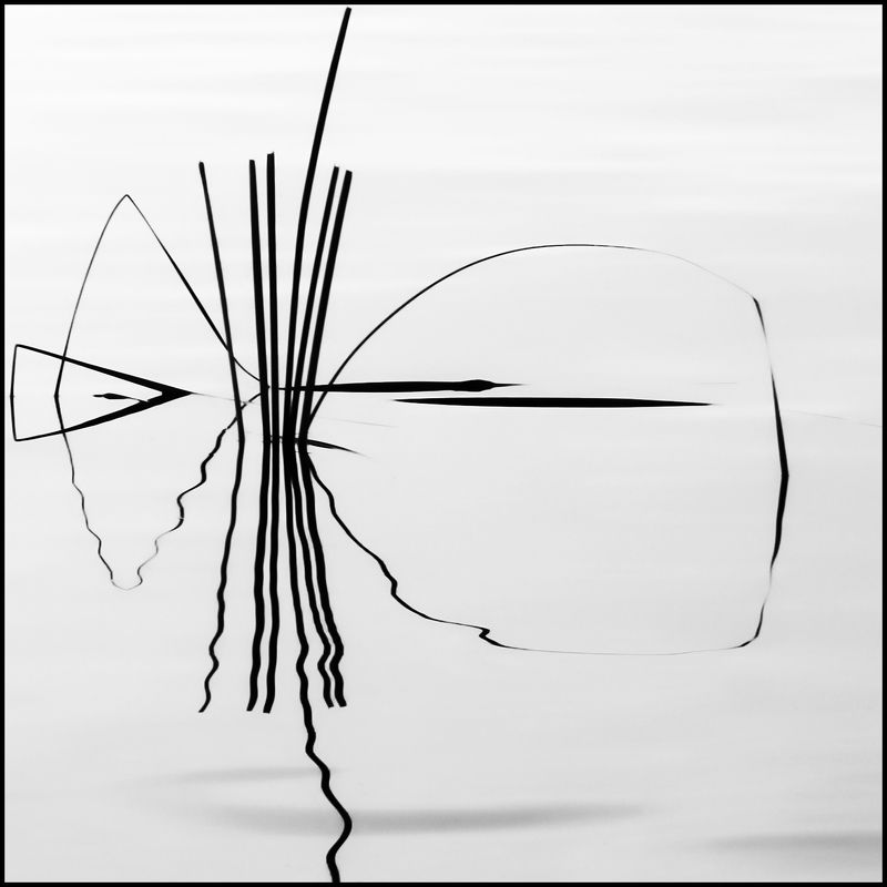 линии мои квадратыphoto preview