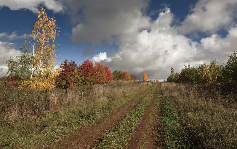 Дорога поле трава зелень деревья кусты лес краски облака осень Солнечные краски осениphoto preview