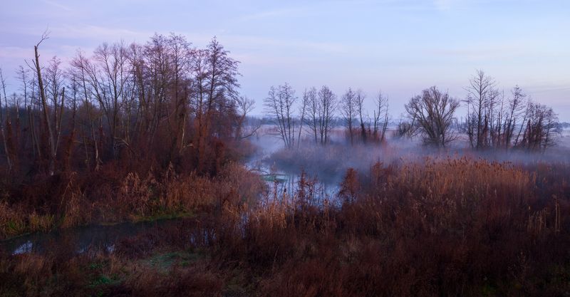 Осенний рассветphoto preview