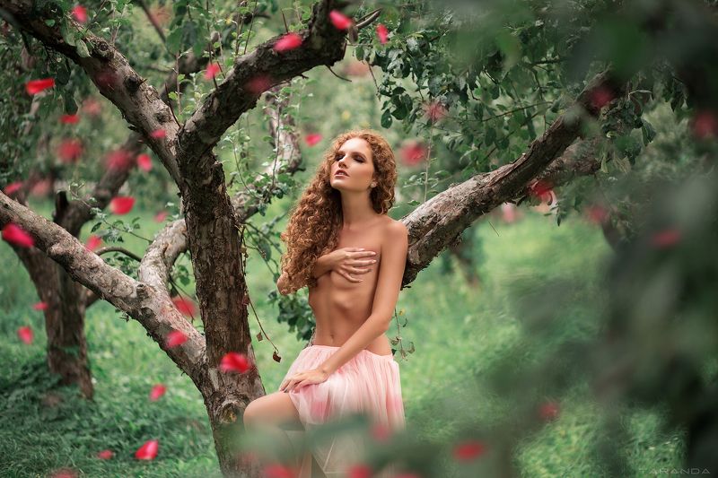 girl, kiev, ukraine, sweet, light, sexy, beauty, retro, garden, summer, eve, apples Modern Evephoto preview