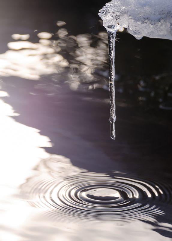 сосулька, капель, весна, ручей, вода, круги, боке, блики, свет, контровый свет, солнечно, снег, холод, лёд Капельphoto preview