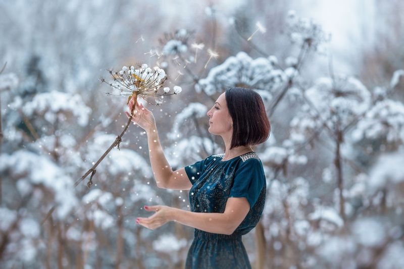 Вторая жизнь одуванчиков...photo preview