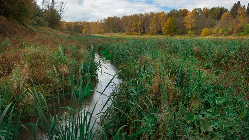 Осеньphoto preview