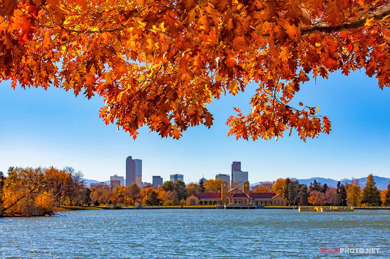 quanphoto, landscape, nature, autumn, fall, lake, city, cityspace, denver, colorado, usa, travel Denver Fallphoto preview