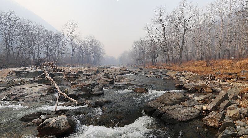 Пожарный сезон...photo preview